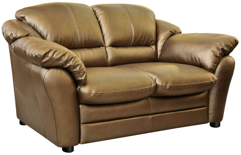 Двухместный диван-кровать из кожи Сенатор